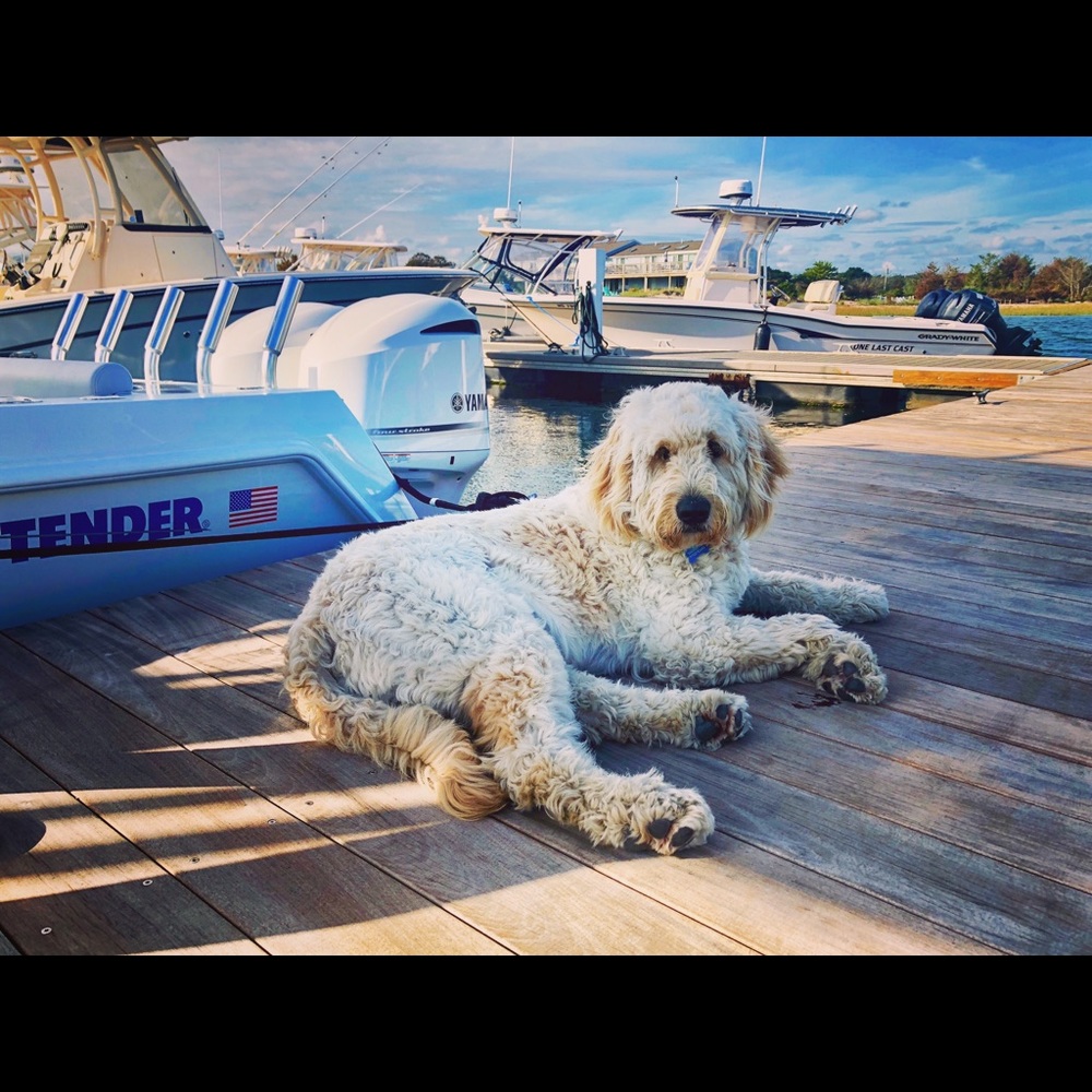 Meet your Posher, Danielle